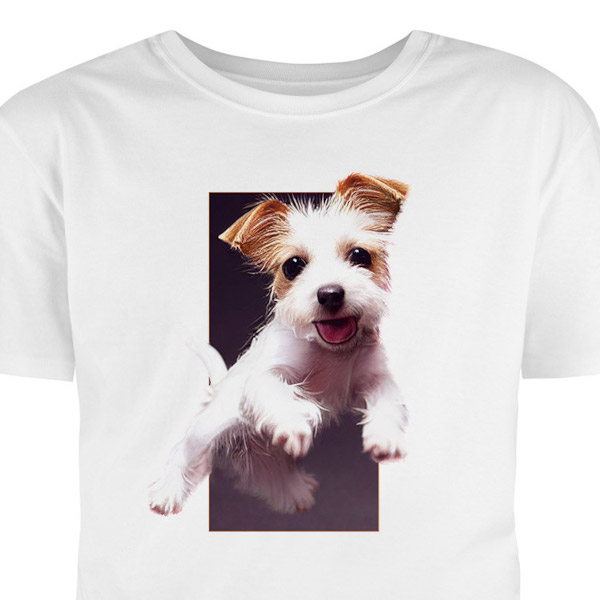 Tričko s potlačou: Jack russel terrier