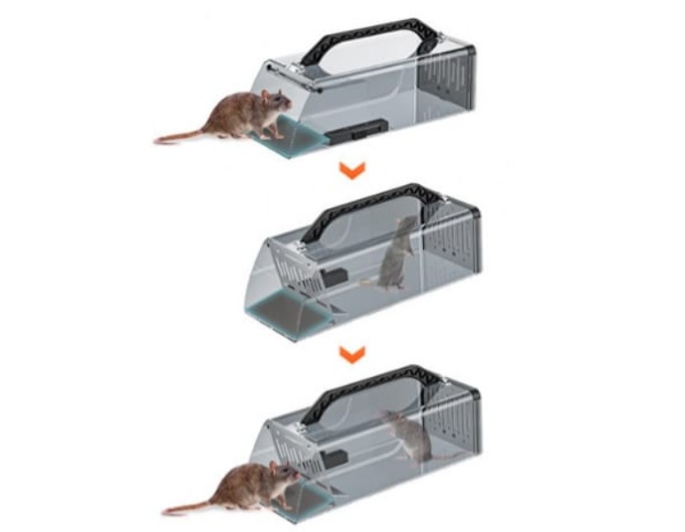 Past na krysy, hlodavci, 30x12x9 cm